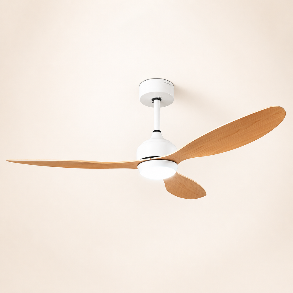 Brisa Ventilador de techo con luz1